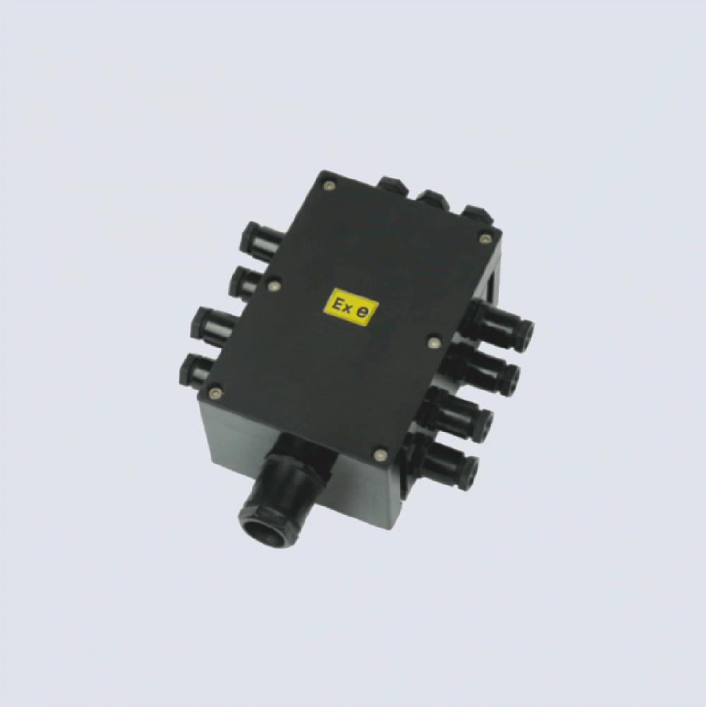 BJX8050系列防爆防腐接線箱(II C、 ExtD)